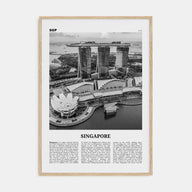 Singapore Travel B&W No 3 Poster
