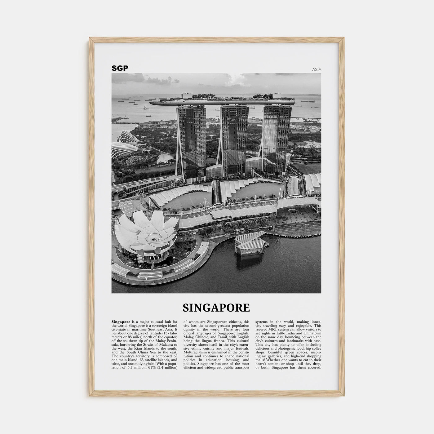 Singapore Travel B&W No 3 Poster
