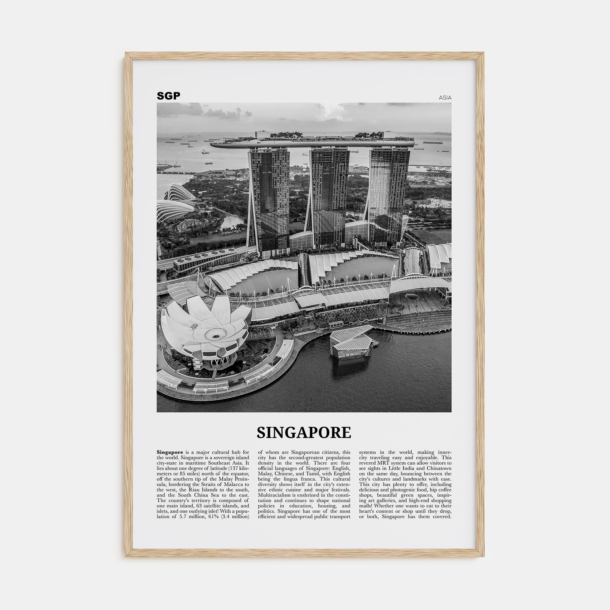 Singapore Travel B&W No 3 Poster