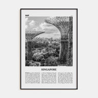 Singapore Travel B&W No 4 Poster
