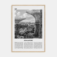 Singapore Travel B&W No 4 Poster