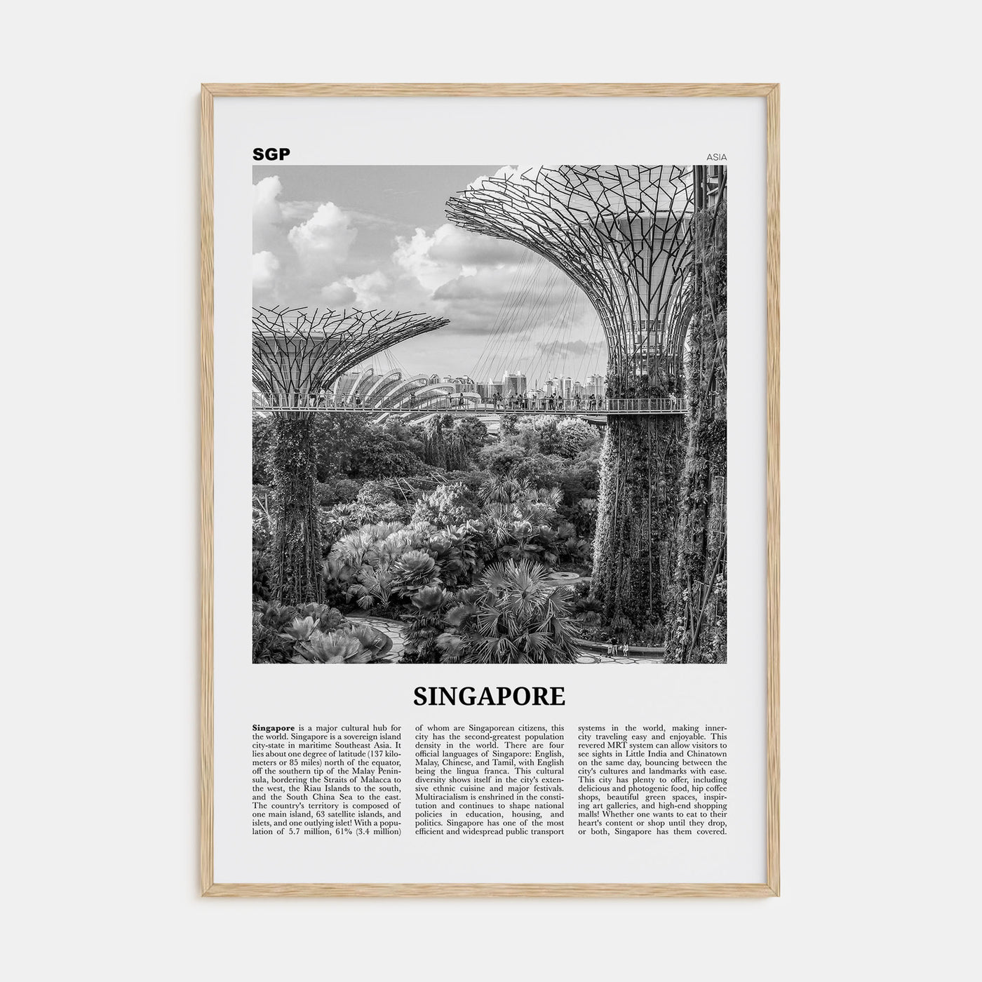 Singapore Travel B&W No 4 Poster