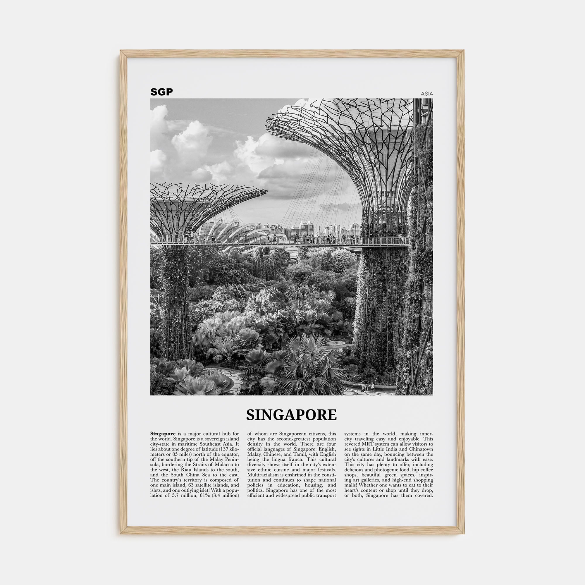 Singapore Travel B&W No 4 Poster