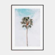 Single Palm Tree Photo Color Poster