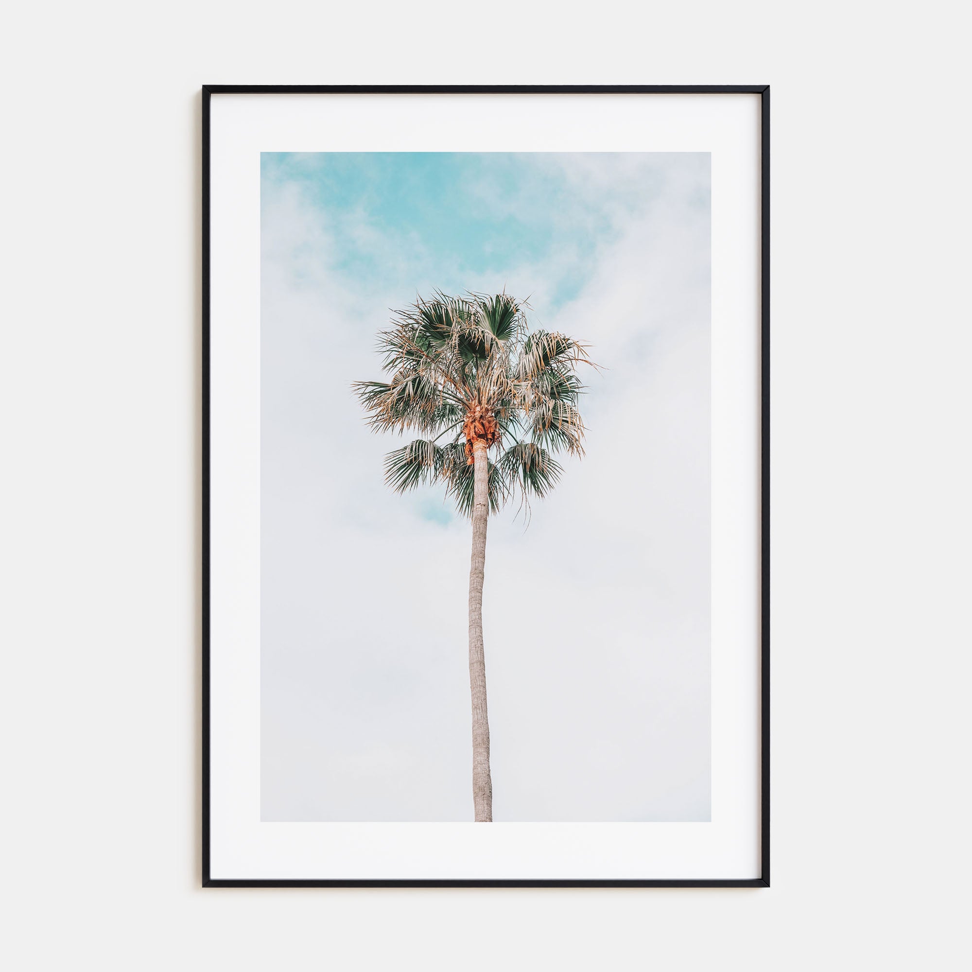 Single Palm Tree Photo Color Poster