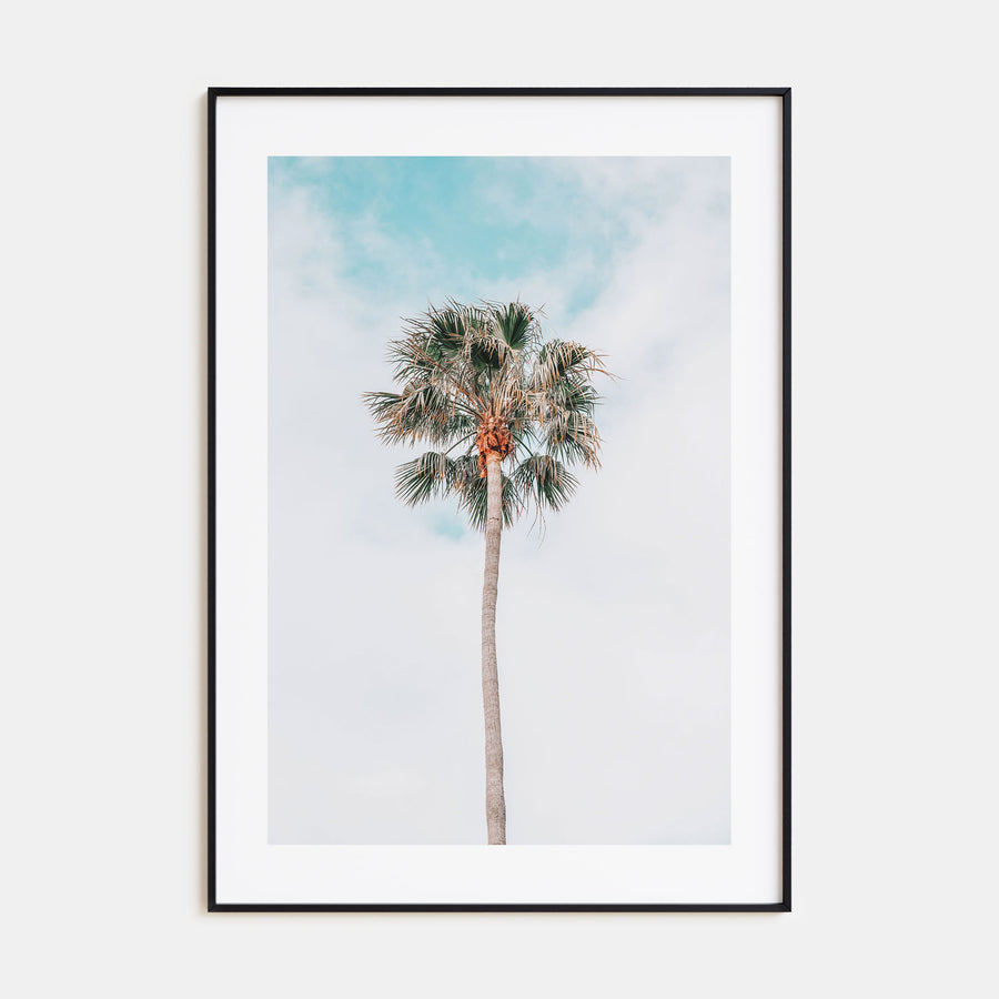 Single Palm Tree Photo Color Poster