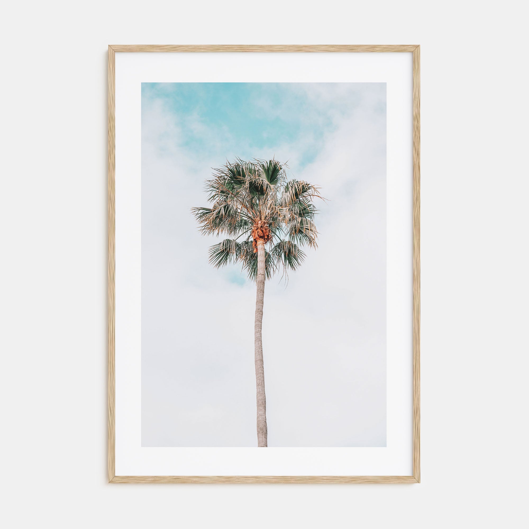 Single Palm Tree Photo Color Poster