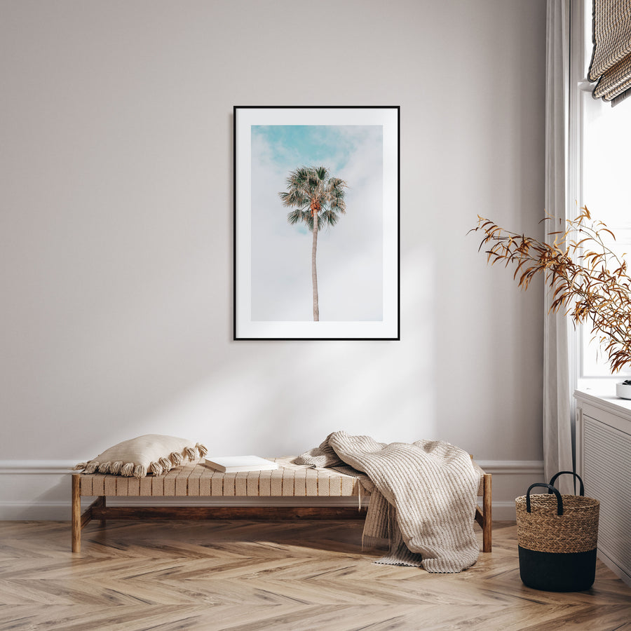 Single Palm Tree Photo Color Poster