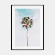 Single Palm Tree Photo Color Poster