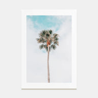Single Palm Tree Photo Color Poster