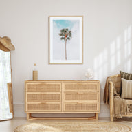 Single Palm Tree Photo Color Poster