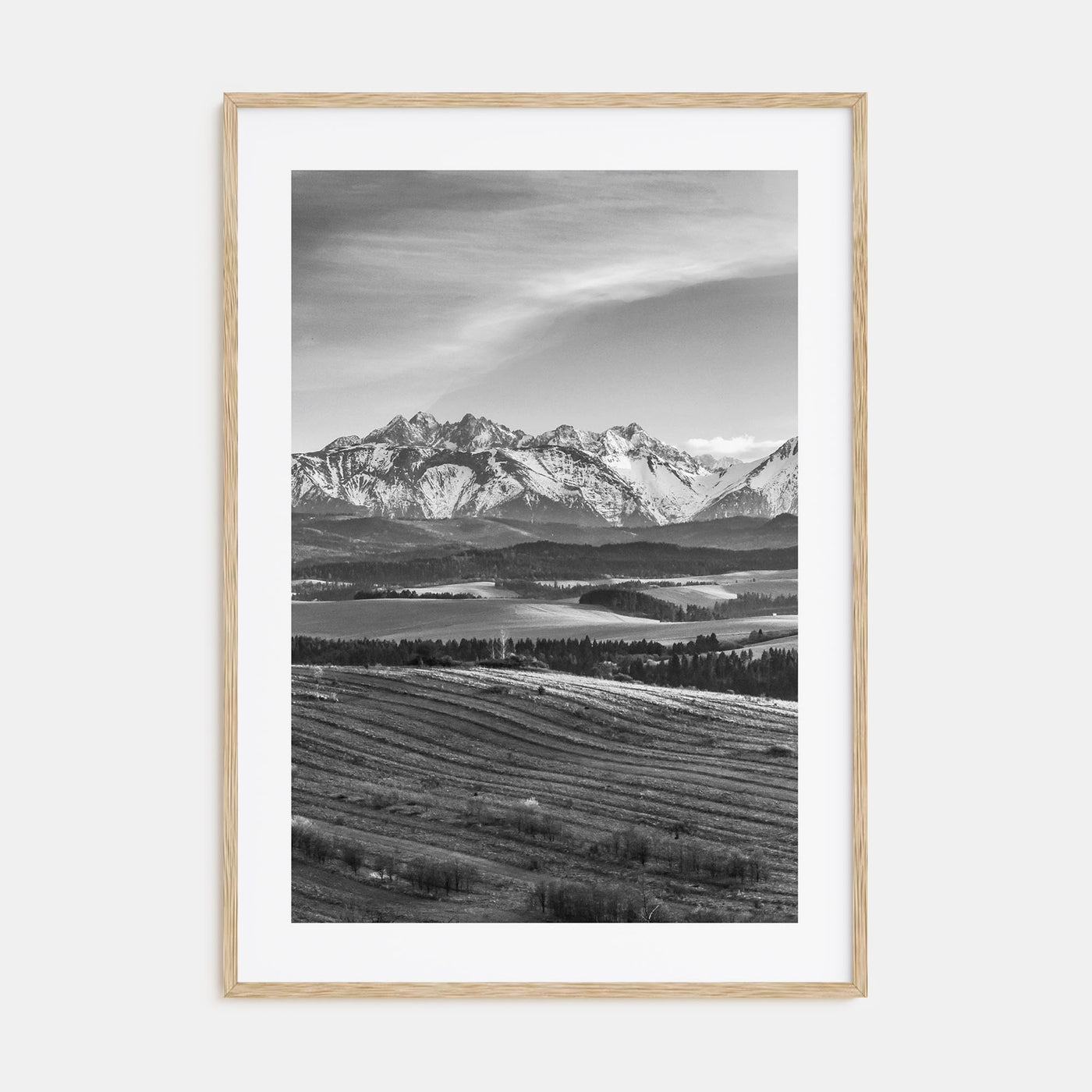 Slovakia Photo B&W Poster