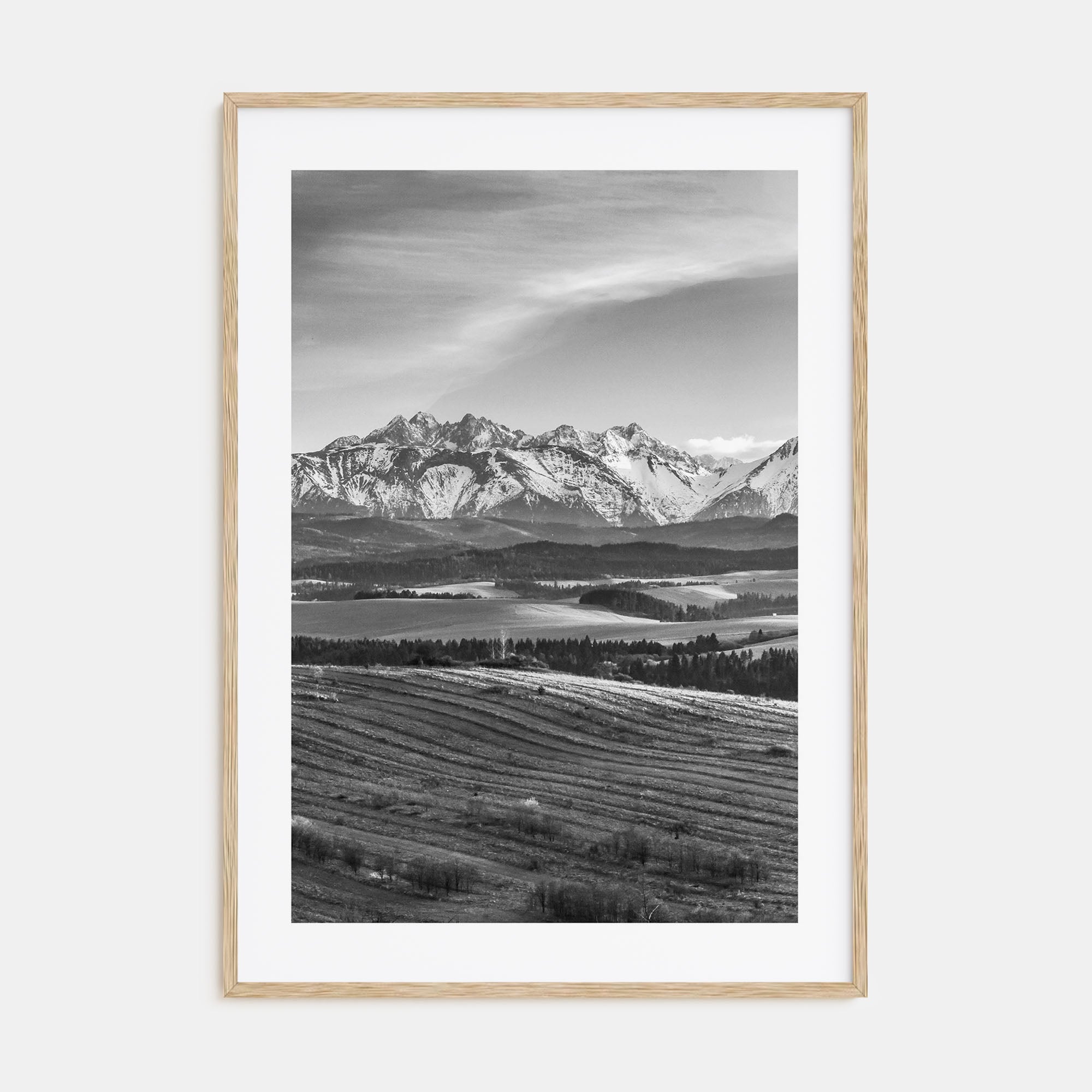 Slovakia Photo B&W Poster