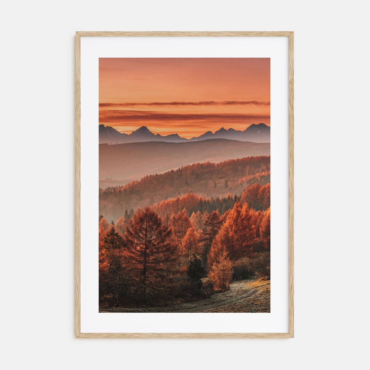 Slovakia Photo Color Poster