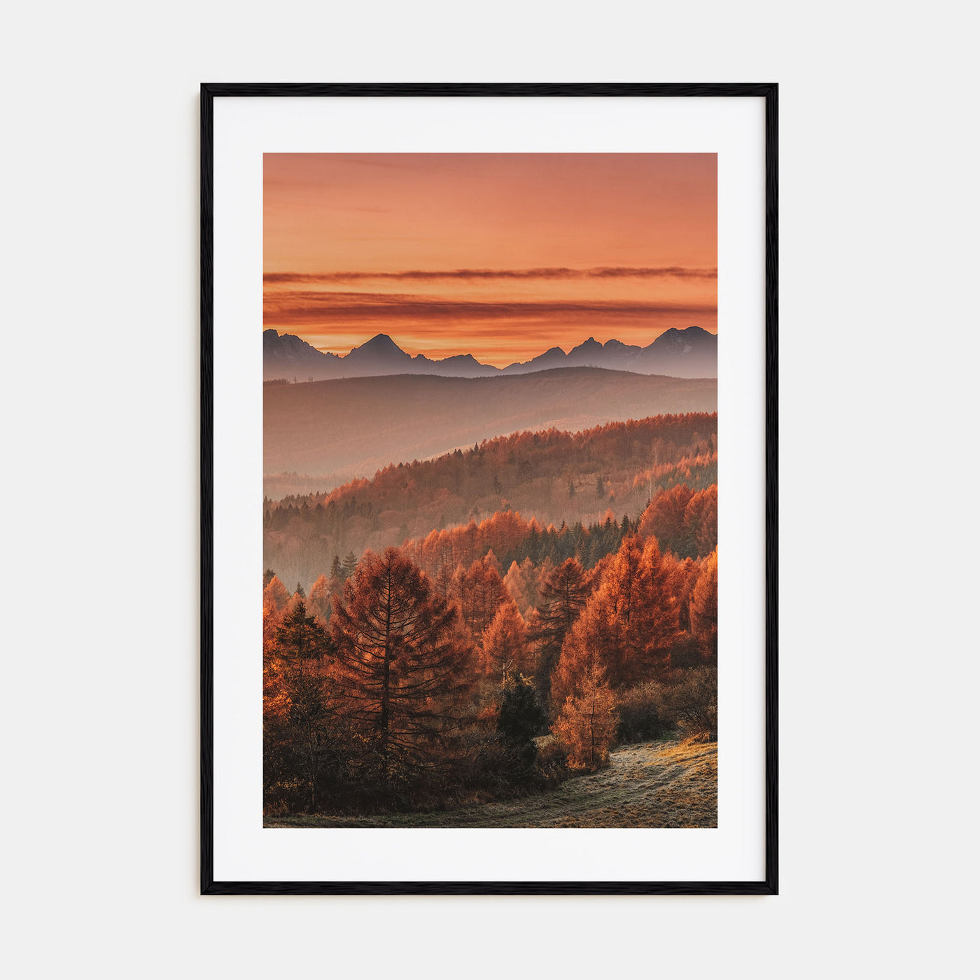 Slovakia Photo Color Poster