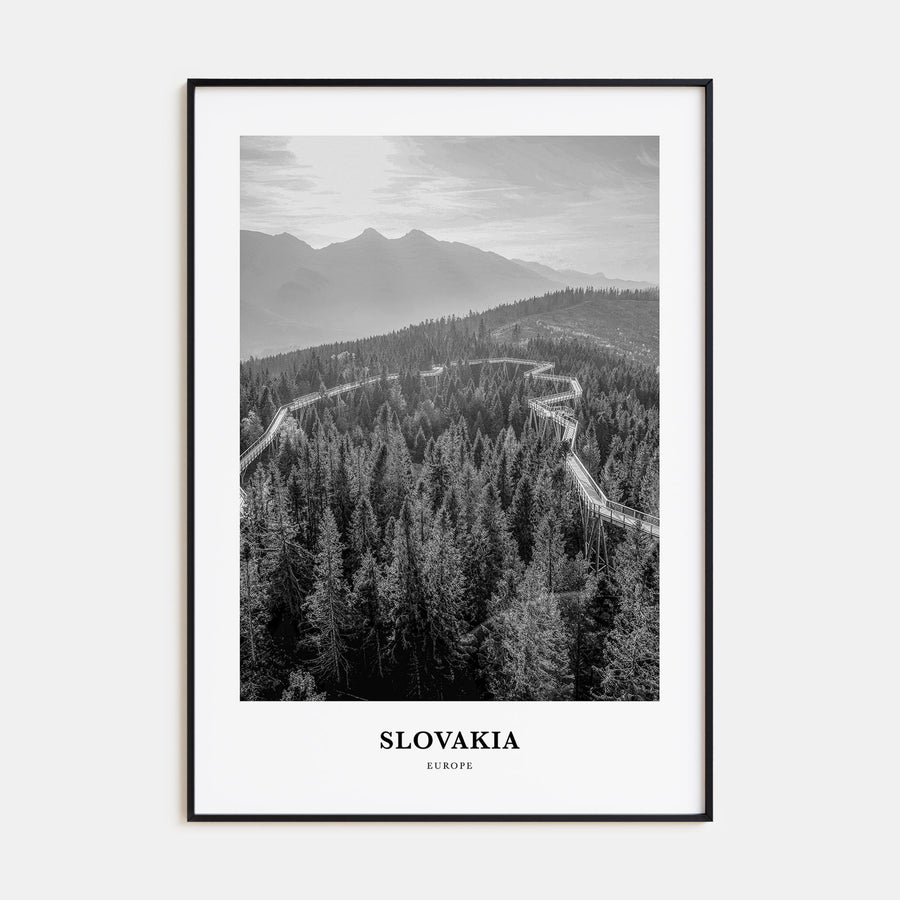 Slovakia Portrait B&W Poster