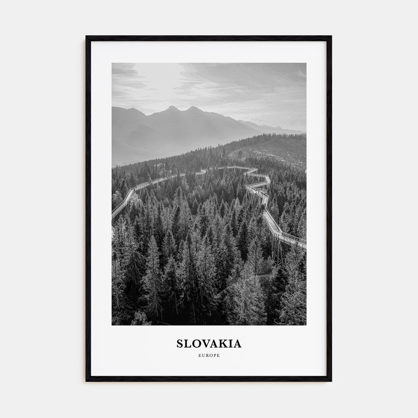 Slovakia Portrait B&W Poster