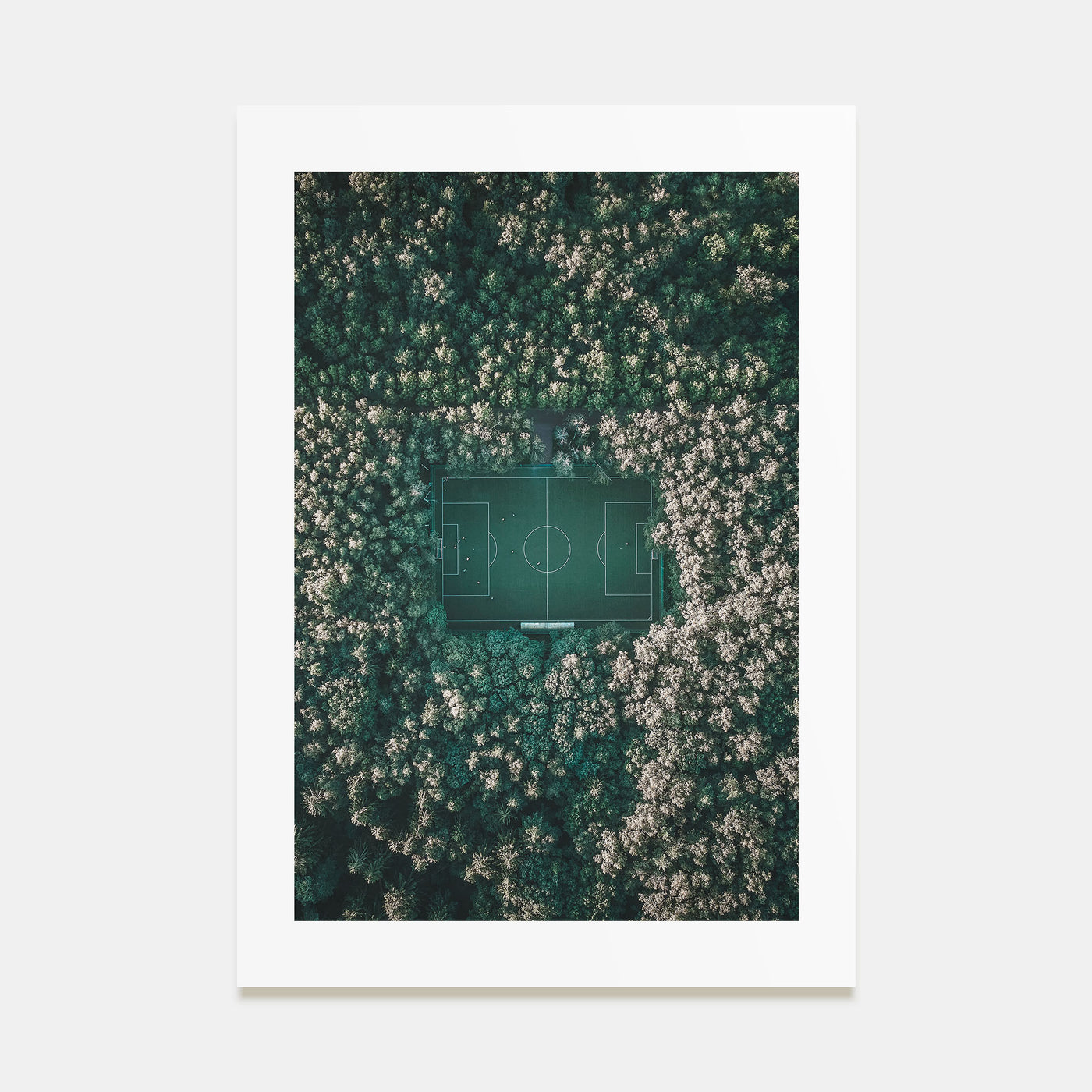 Soccer Field Photo Color Poster