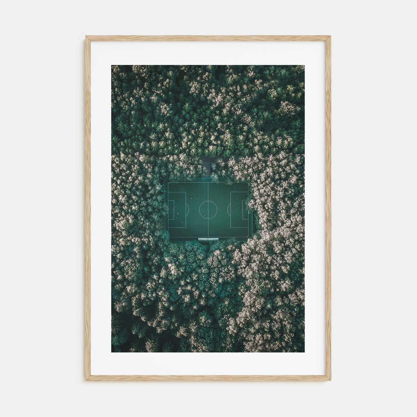 Soccer Field Photo Color Poster