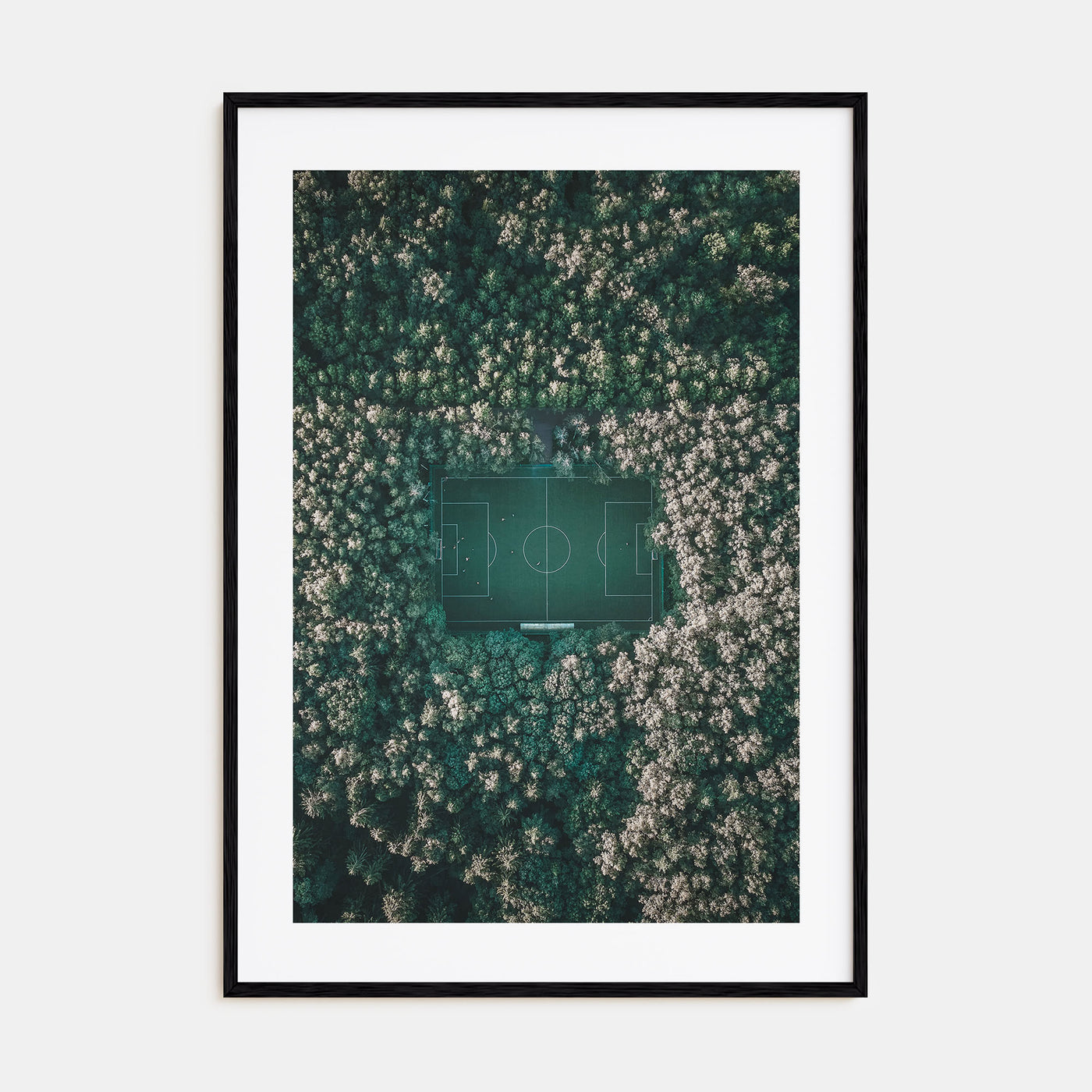Soccer Field Photo Color Poster