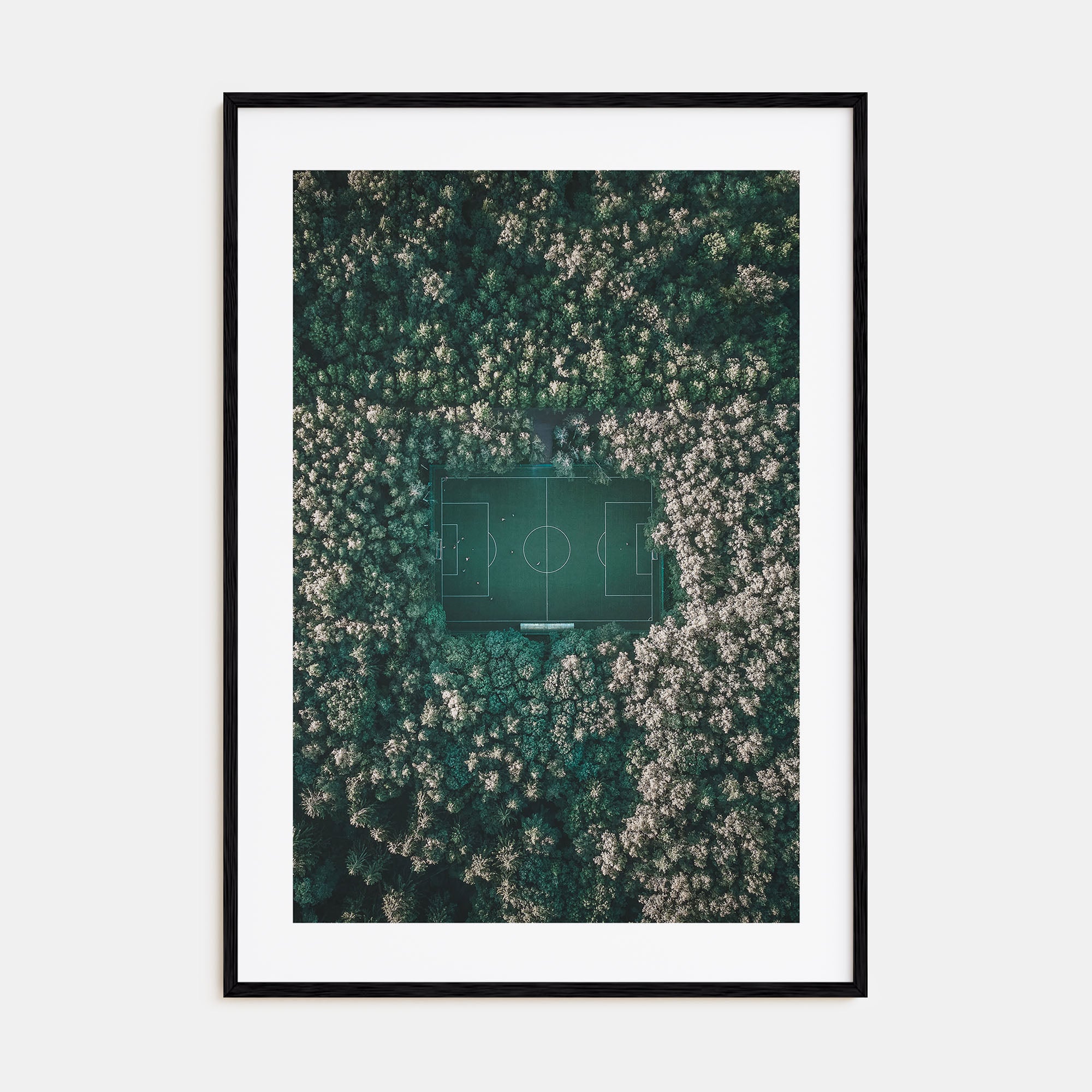 Soccer Field Photo Color Poster