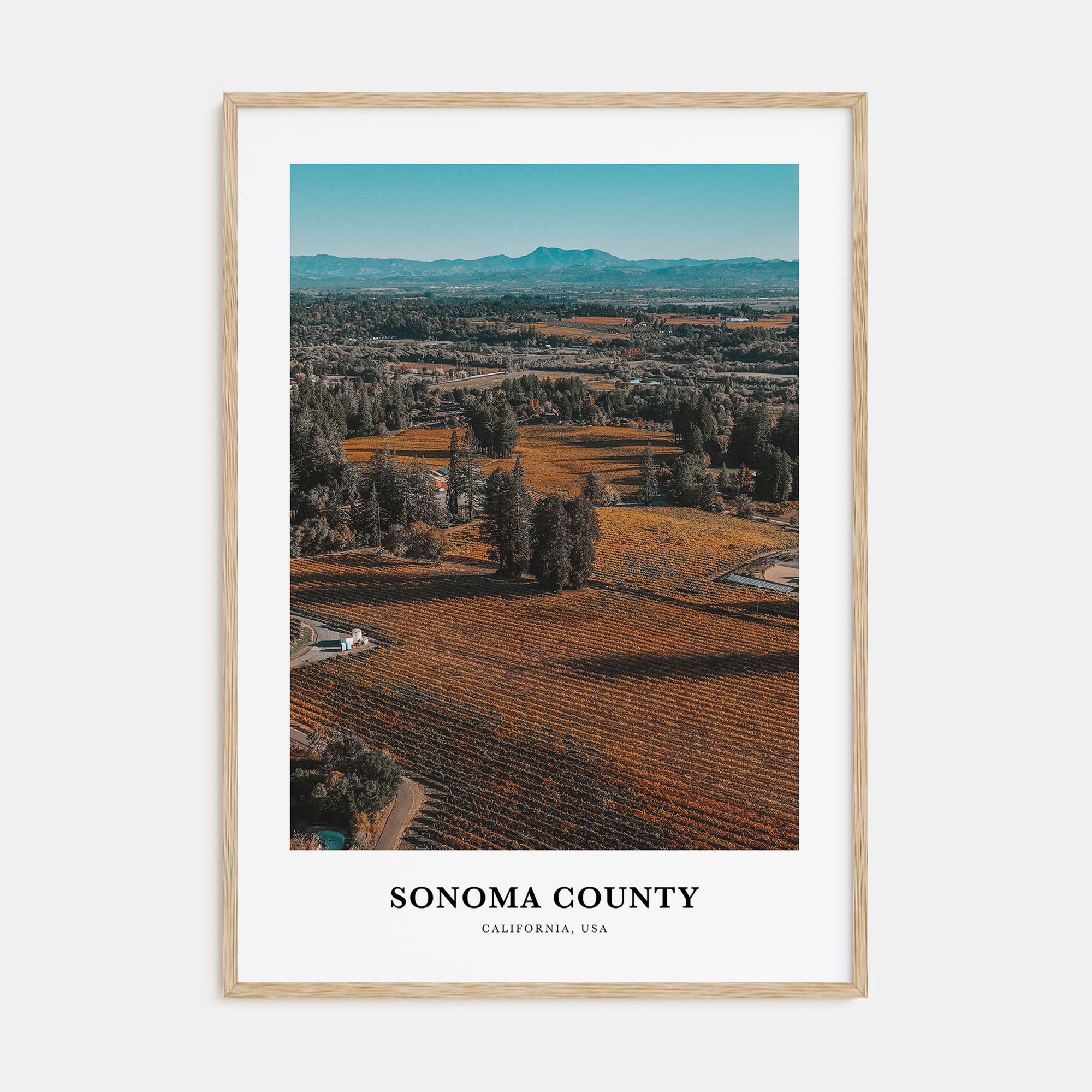 Sonoma County Portrait Color Poster