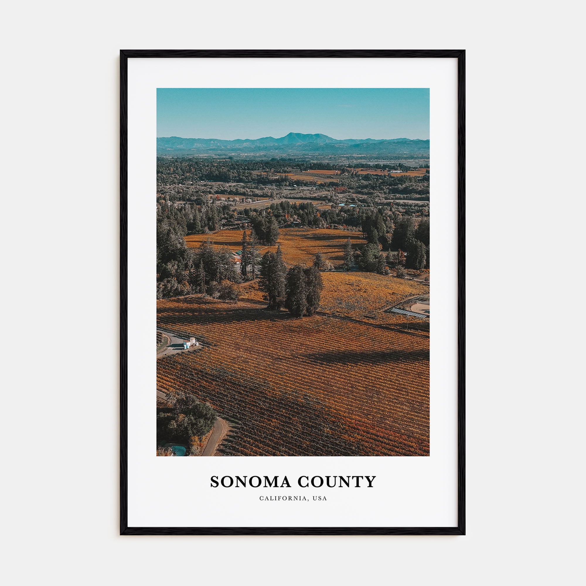 Sonoma County Portrait Color Poster