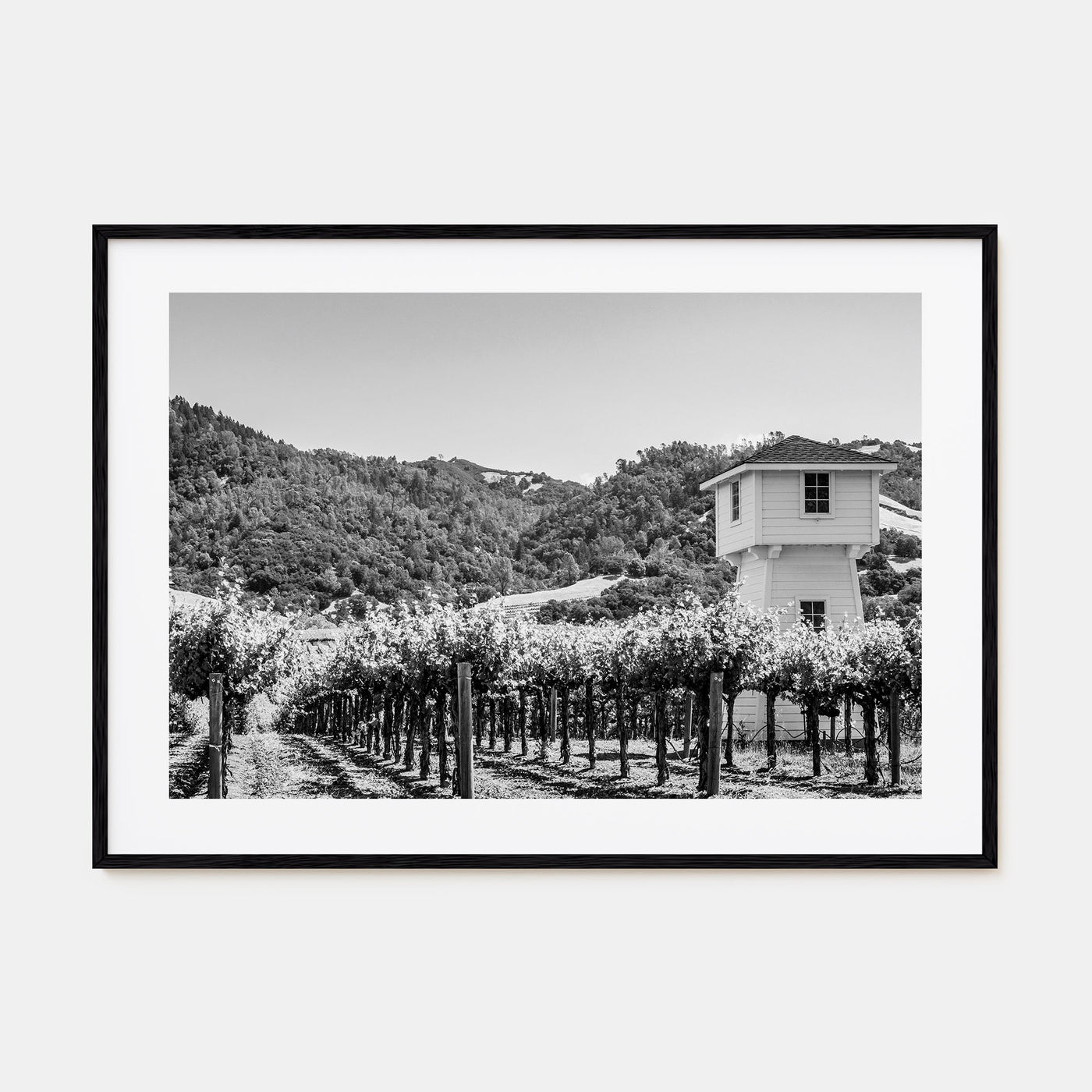 Sonoma Landscape B&W Poster