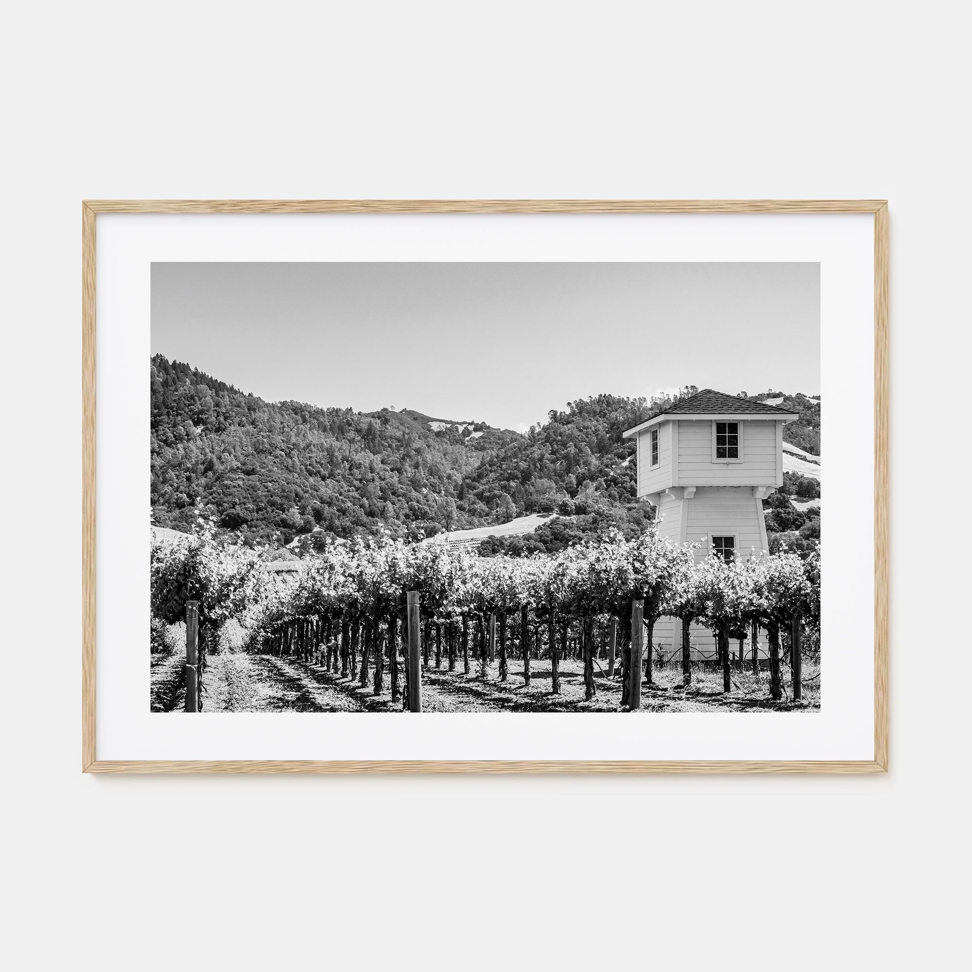 Sonoma Landscape B&W Poster