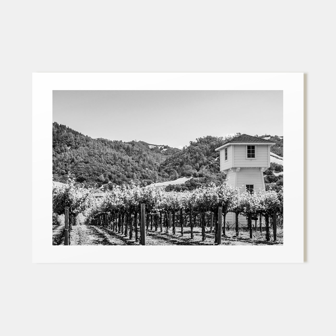 Sonoma Landscape B&W Poster
