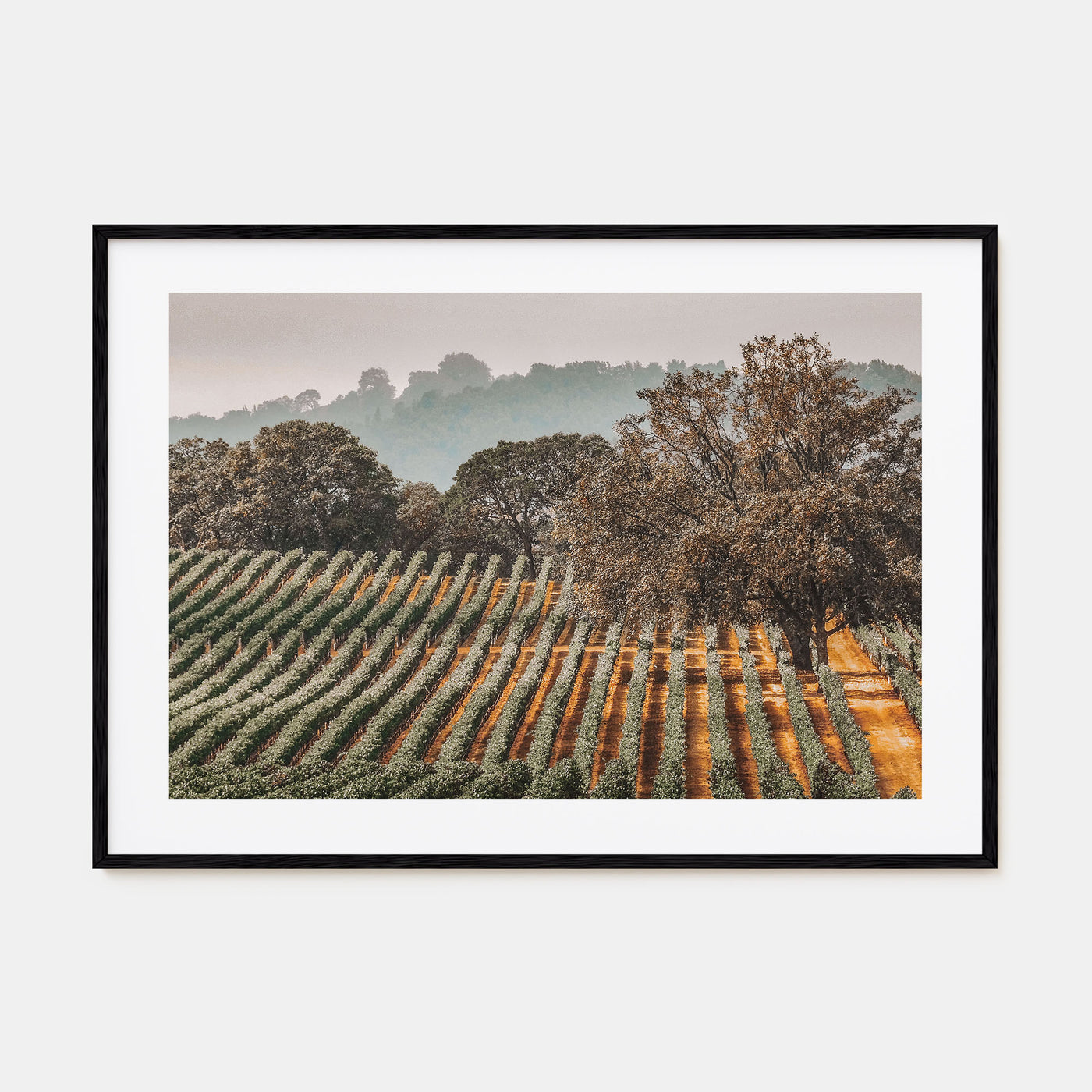 Sonoma Landscape Color Poster