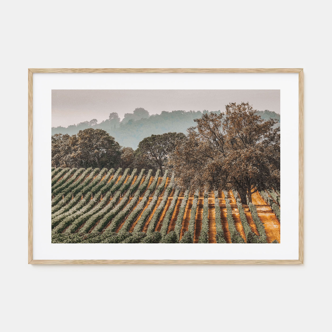 Sonoma Landscape Color Poster