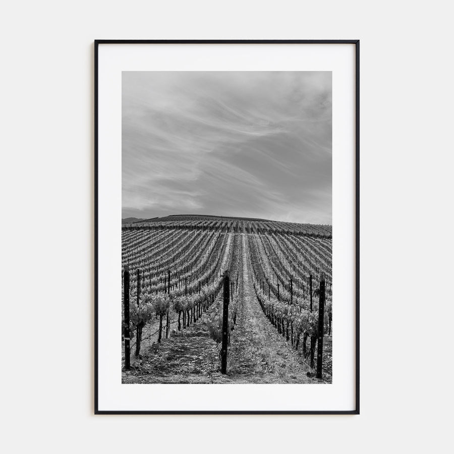 Sonoma Photo B&W Poster