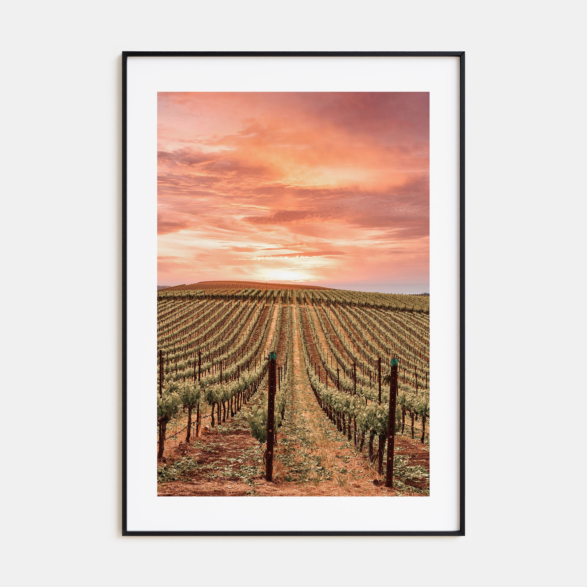 Sonoma Photo Color Poster