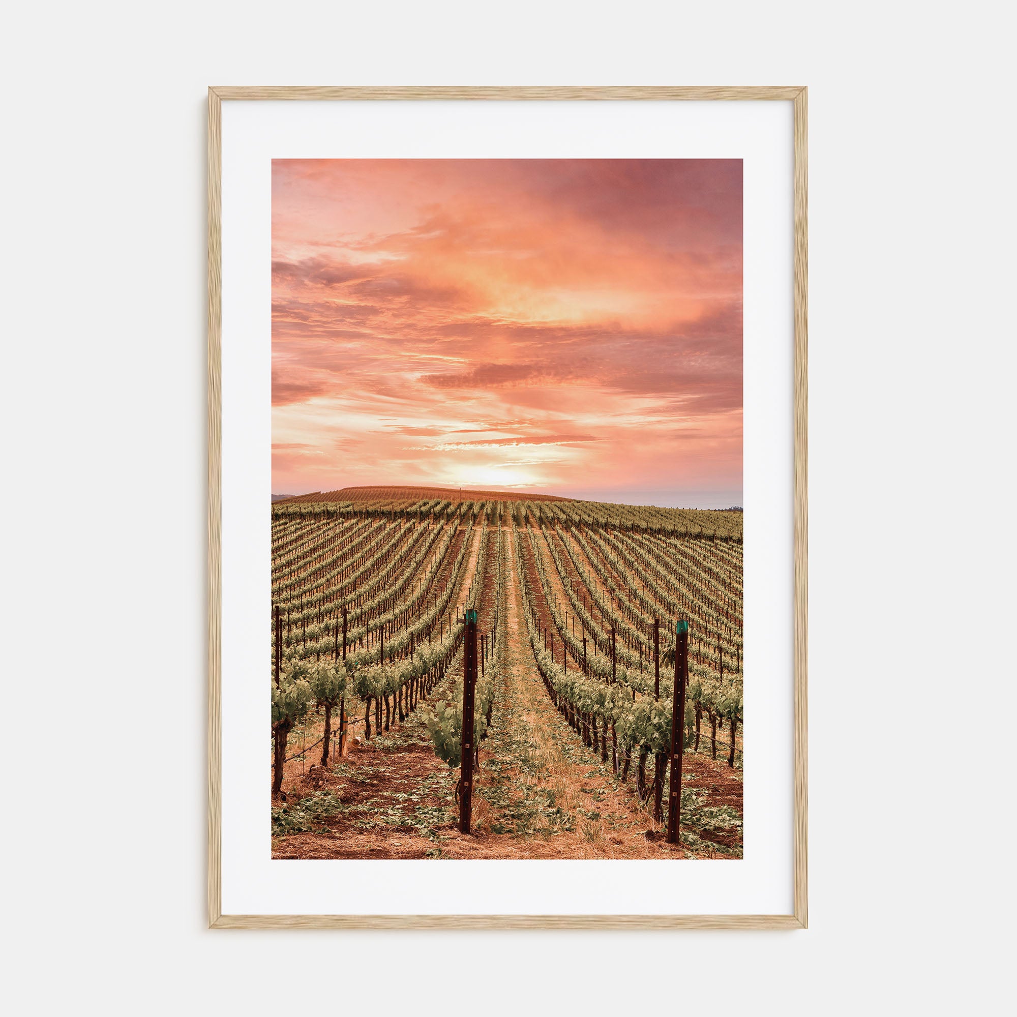 Sonoma Photo Color Poster