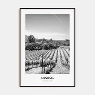 Sonoma Portrait B&W Poster