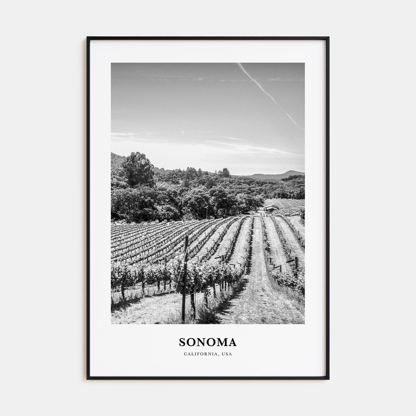 Sonoma Portrait B&W Poster