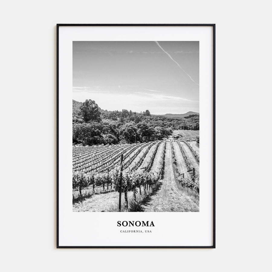 Sonoma Portrait B&W Poster