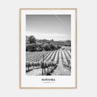 Sonoma Portrait B&W Poster