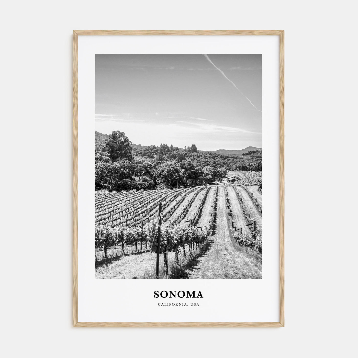 Sonoma Portrait B&W Poster