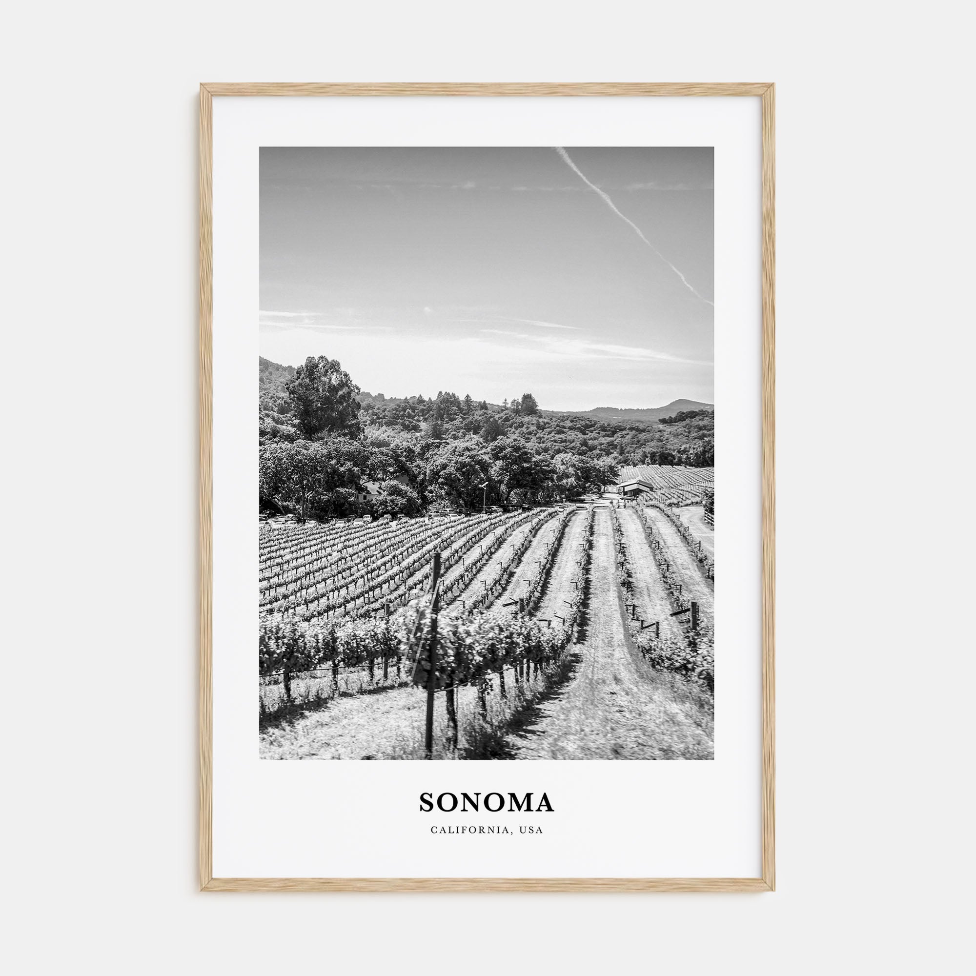 Sonoma Portrait B&W Poster
