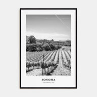 Sonoma Portrait B&W Poster