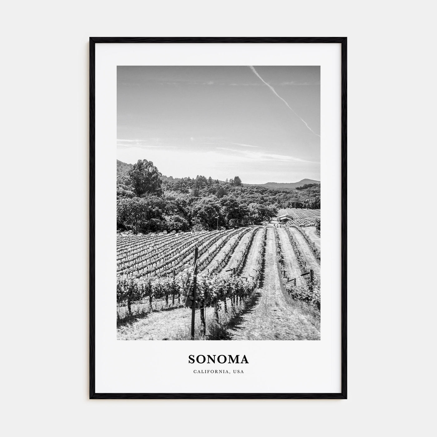 Sonoma Portrait B&W Poster