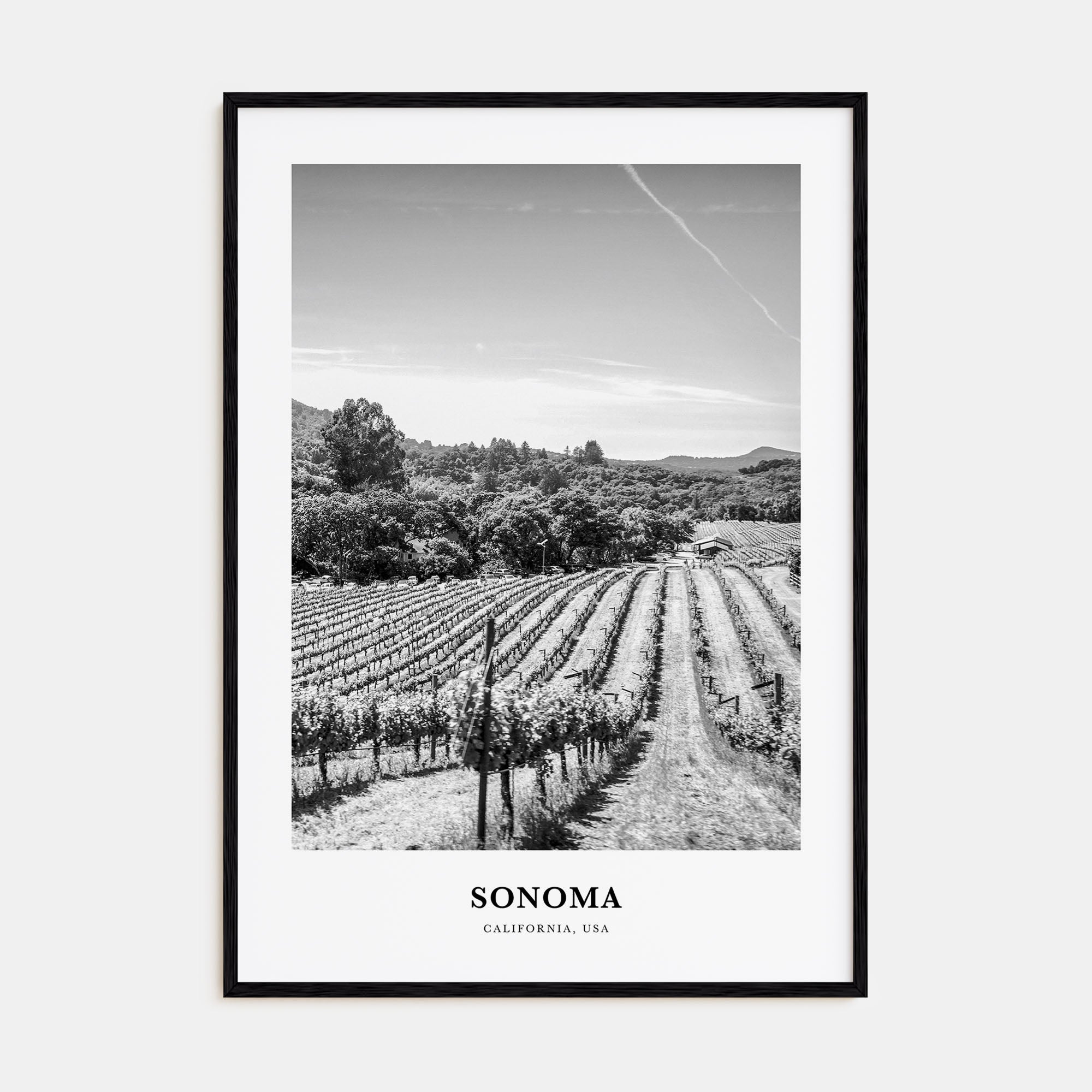 Sonoma Portrait B&W Poster