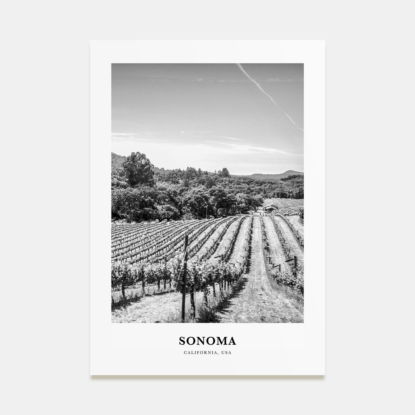 Sonoma Portrait B&W Poster