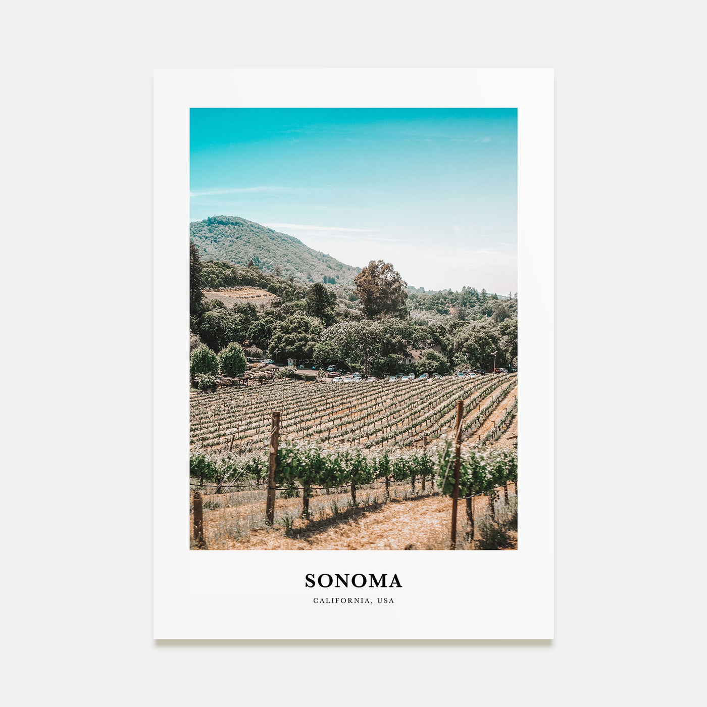 Sonoma Portrait Color Poster