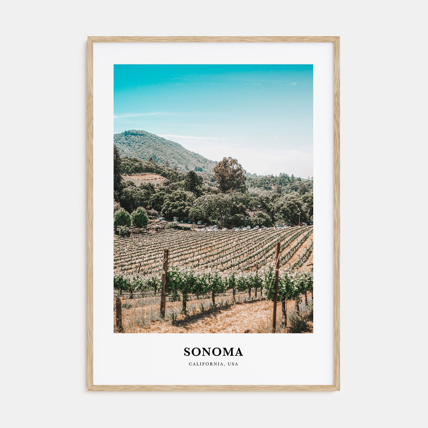 Sonoma Portrait Color Poster