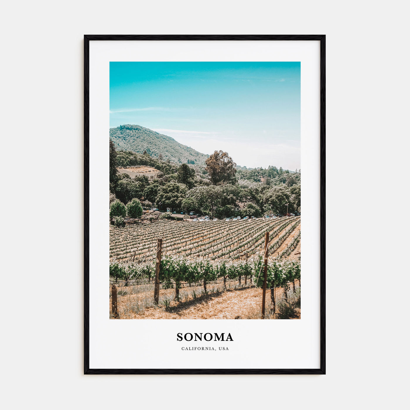 Sonoma Portrait Color Poster