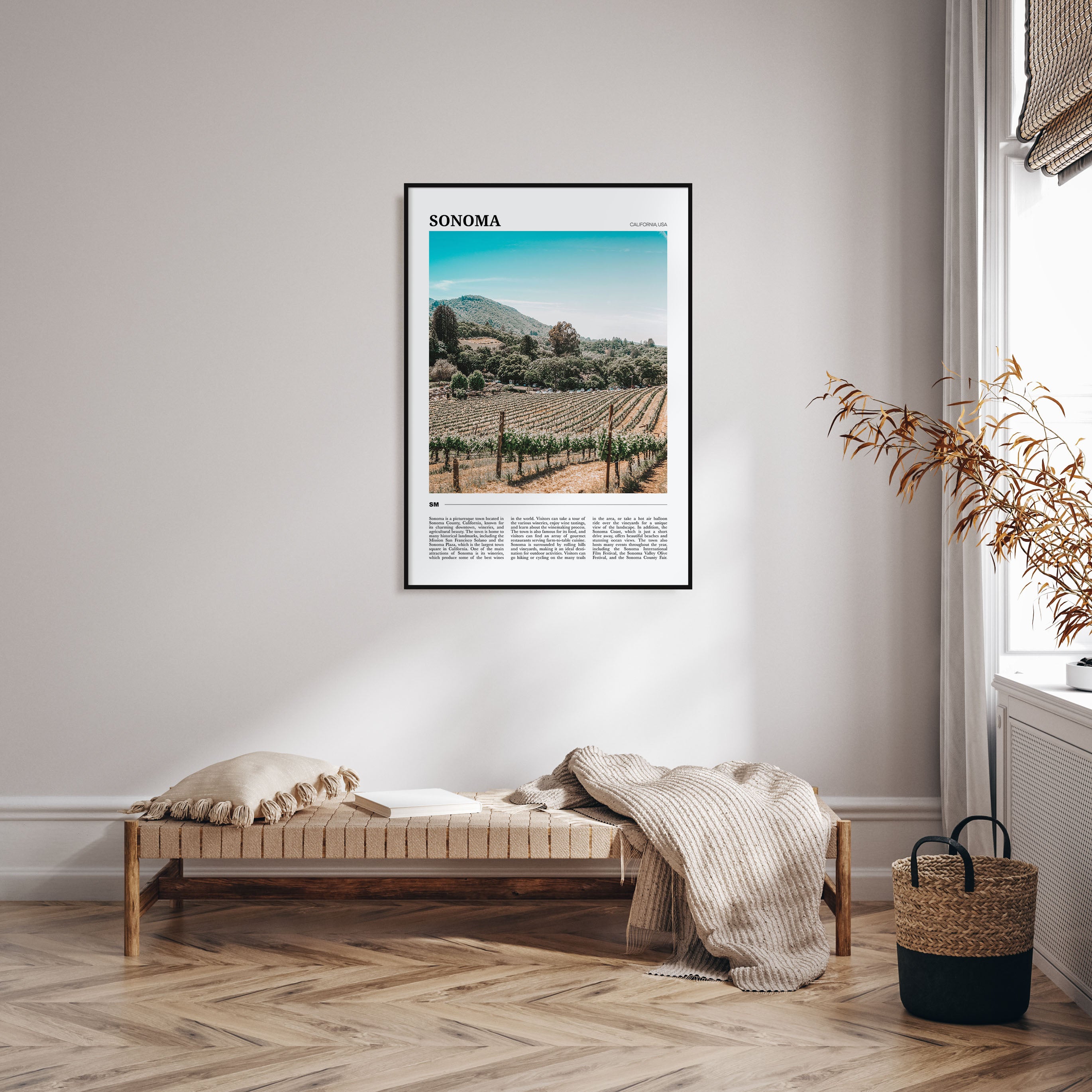 Sonoma Travel Color Poster