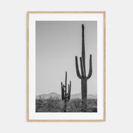 Sonora Photo B&W Poster